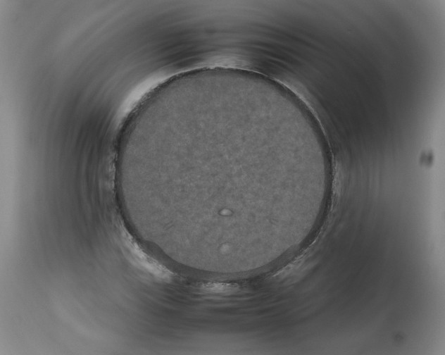 X0000112471115200909281039