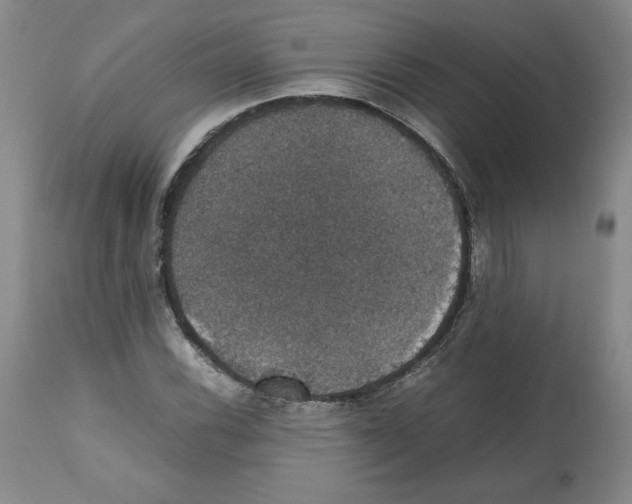 X0000112471116200909281039