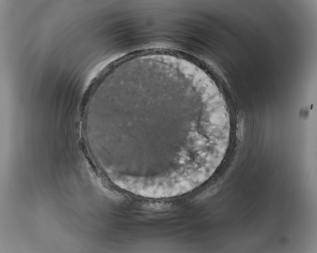 X0000112471117200909281039