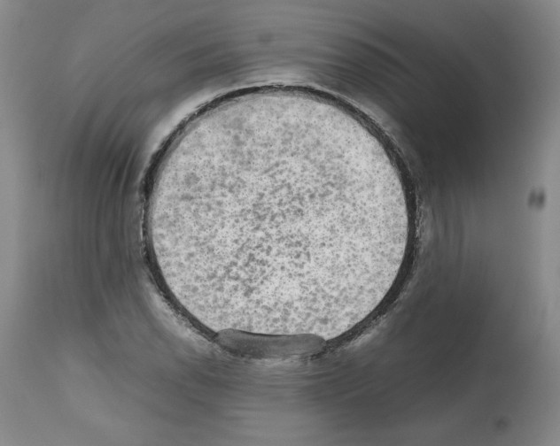 X0000112471118200909281039