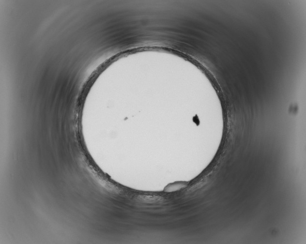 X0000112471119200909281039