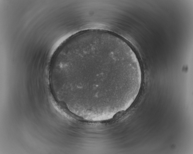 X0000112471120200909281039