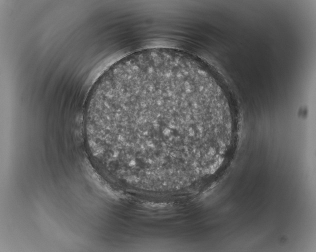 X0000112471121200909281039