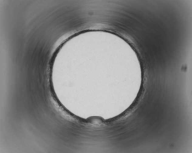 X0000112471122200909281039
