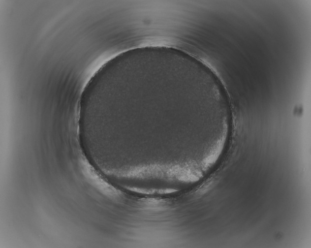 X0000112471124200909281039