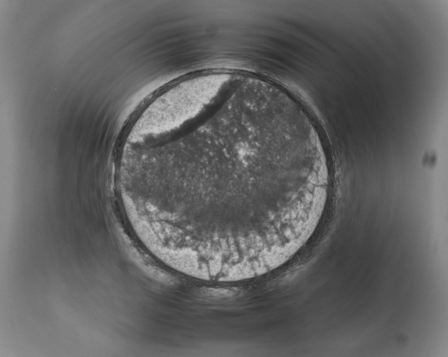 X0000112471125200909281039