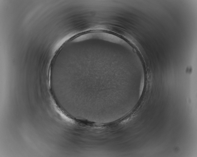 X0000112471127200909281039
