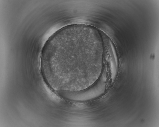 X0000112471128200909281039
