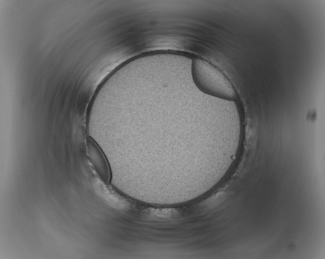 X0000112471129200909281039