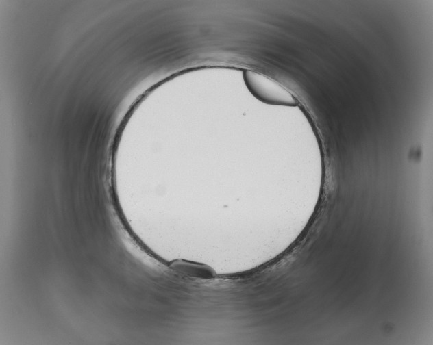 X0000112471136200909281039