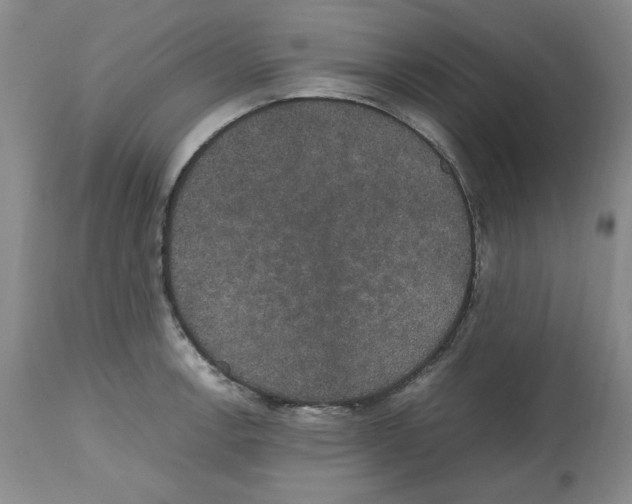 X0000112471138200909281039