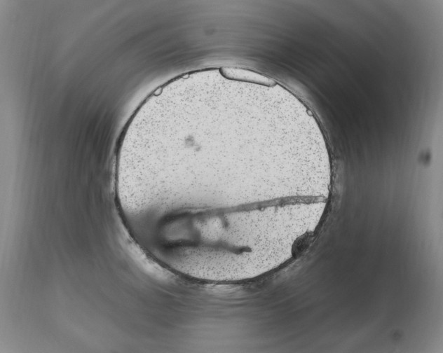 X0000112471140200909281039
