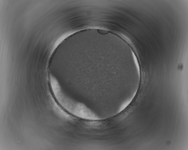 X0000112471141200909281039