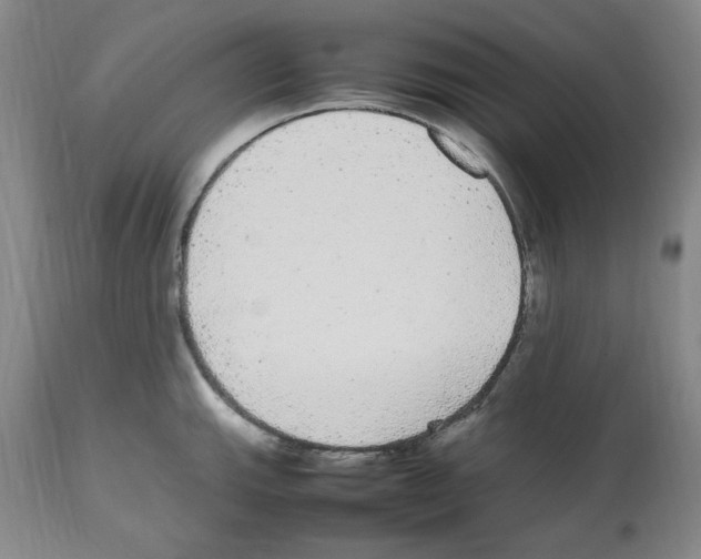X0000112471143200909281039