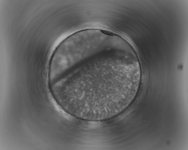 X0000112471144200909281039