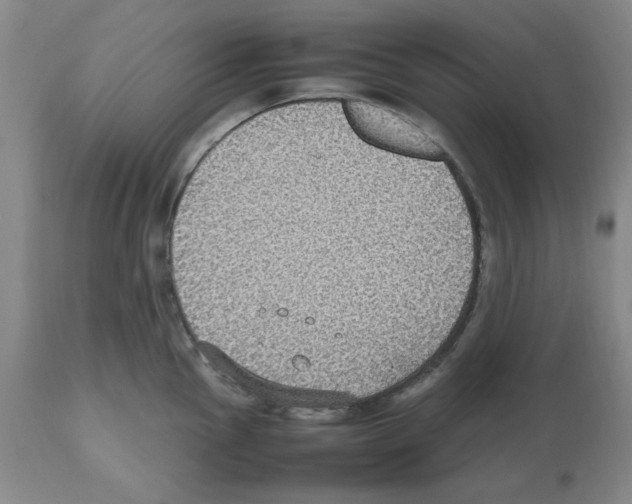 X0000112471145200909281039
