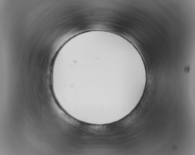 X0000112471147200909281039