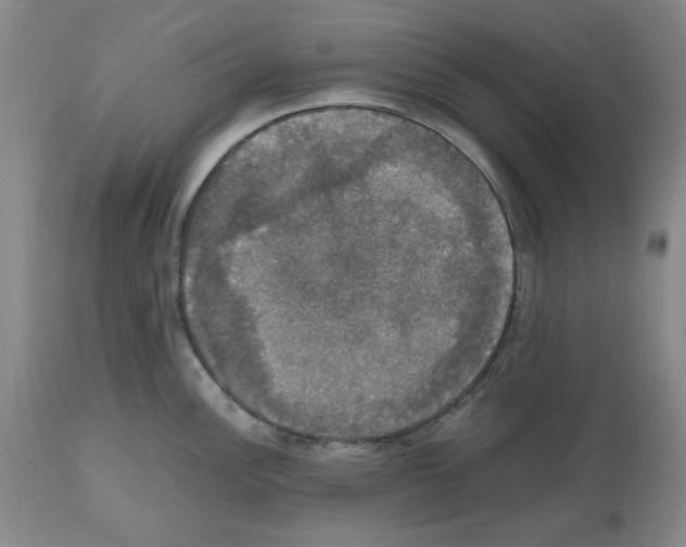 X0000112471148200909281039