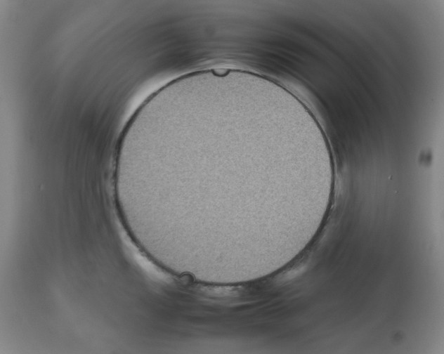 X0000112471149200909281039