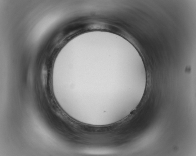 X0000112471151200909281039