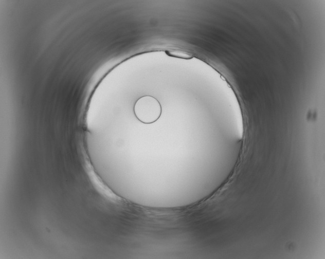 X0000112471152200909281039