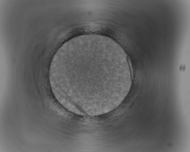 X0000112471153200909281038