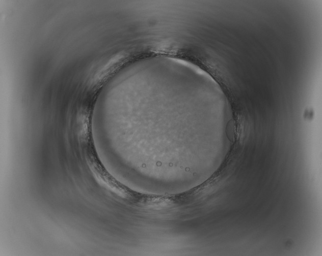X0000112471154200909281038