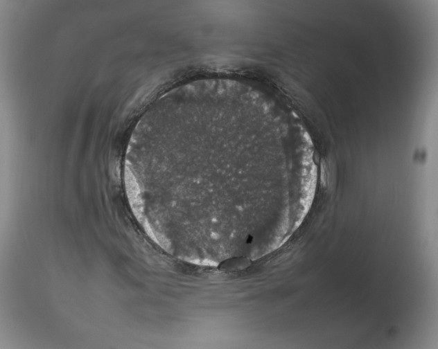 X0000112471155200909281038