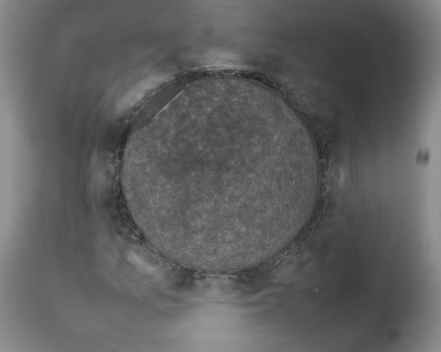 X0000112471157200909281038