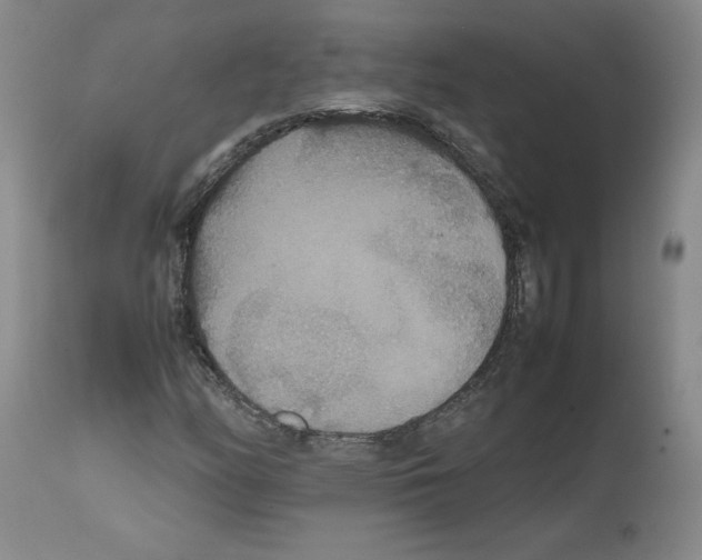 X0000112471158200909281038