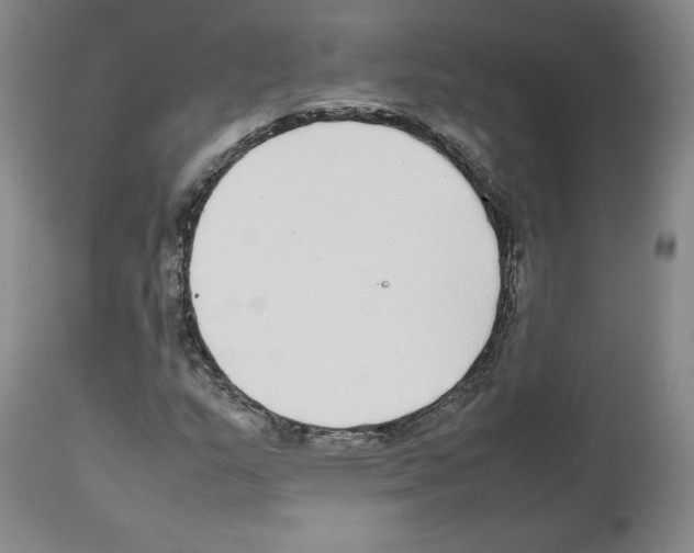 X0000112471159200909281038