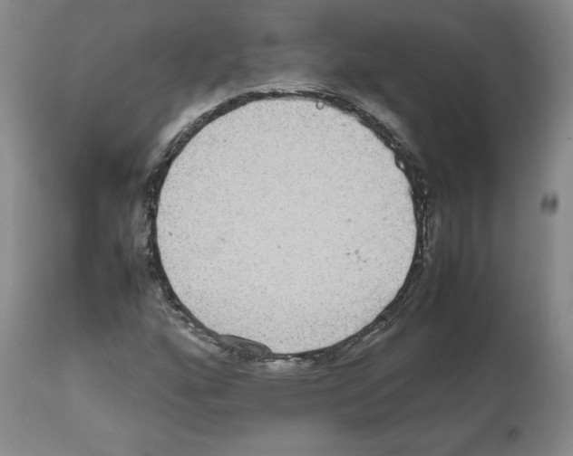 X0000112471160200909281038