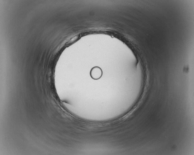 X0000112471161200909281038