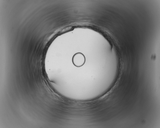 X0000112471162200909281038