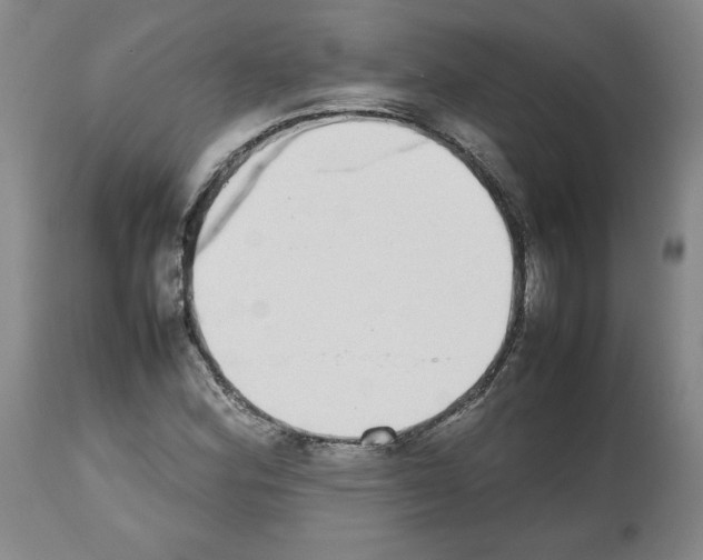 X0000112471164200909281038