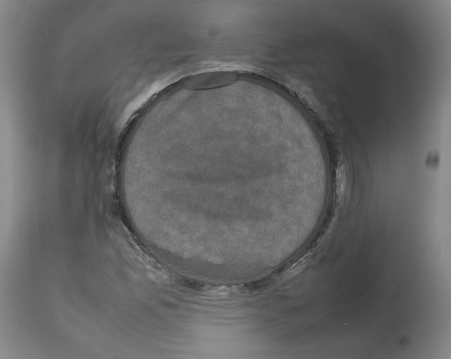 X0000112471165200909281038