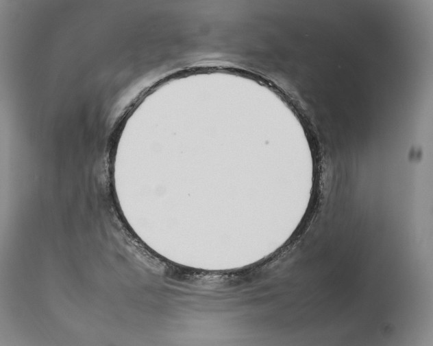 X0000112471167200909281038