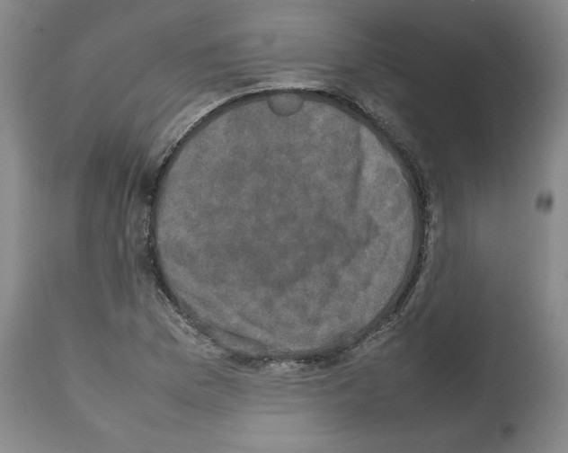 X0000112471169200909281038