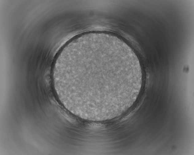 X0000112471170200909281038