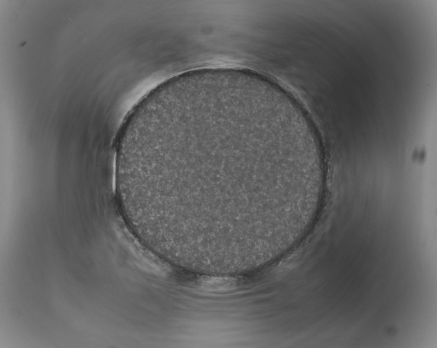 X0000112471171200909281038