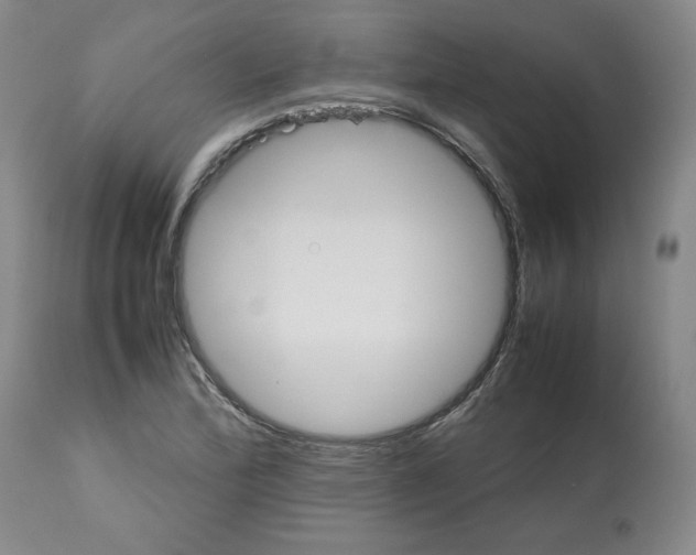 X0000112471172200909281038