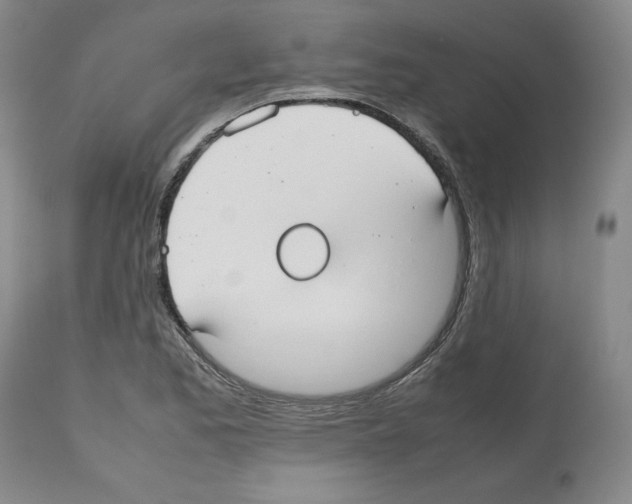X0000112471173200909281038