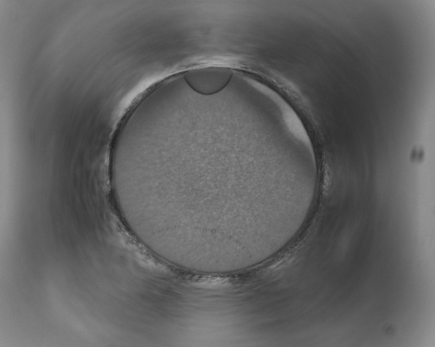 X0000112471174200909281038