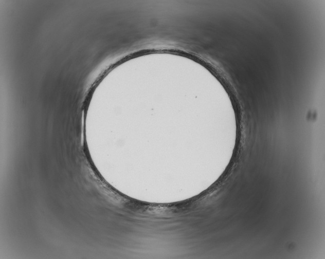 X0000112471175200909281038