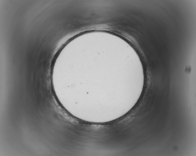 X0000112471176200909281038