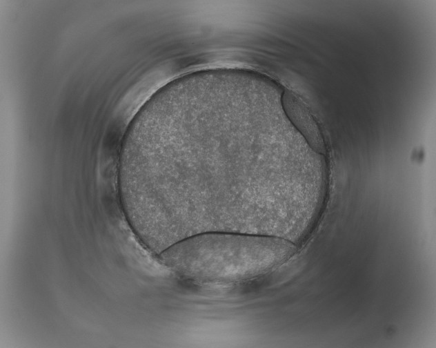 X0000112471177200909281038