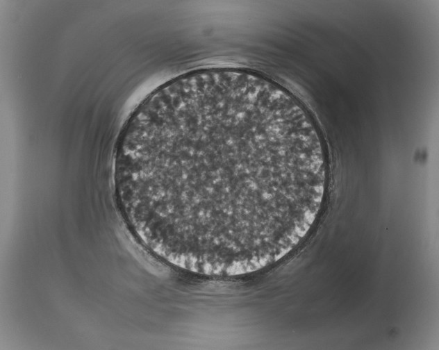X0000112471179200909281038