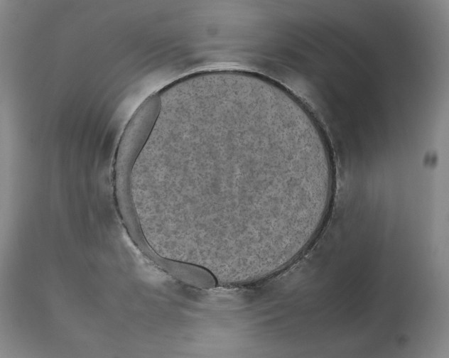 X0000112471181200909281038