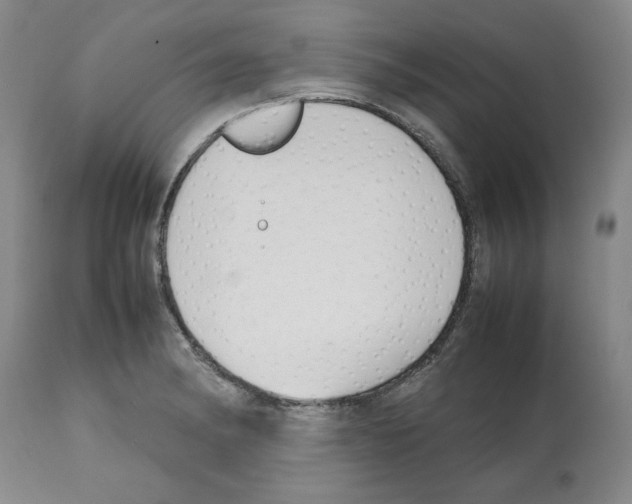 X0000112471182200909281038