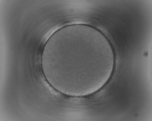 X0000112471185200909281038